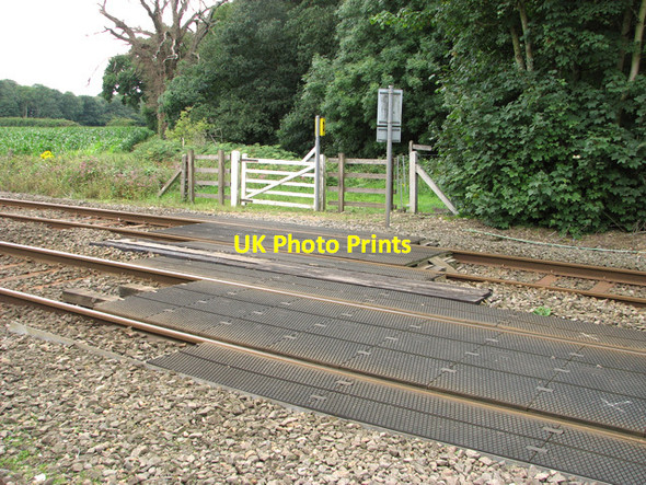 Photo 6"x4" View across Bear's Grove level crossing, Wroxham Salhouse c2011