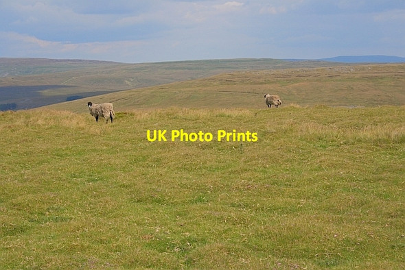 Photo 6"x4" On Craven Wold Stone House\/SD7785 c2011