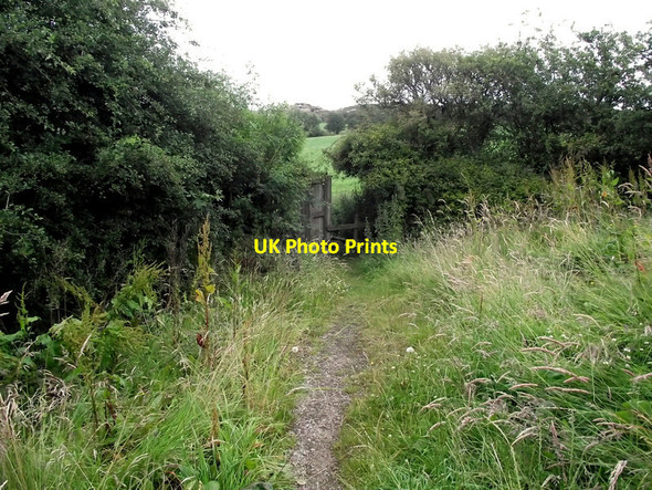 Photo 6"x4" Looking back to the fields Biddulph c2011