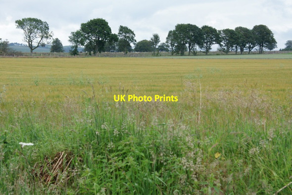 Photo 6"x4" Fields and trees, Egno Moss Westmuir\/NO3652 c2011