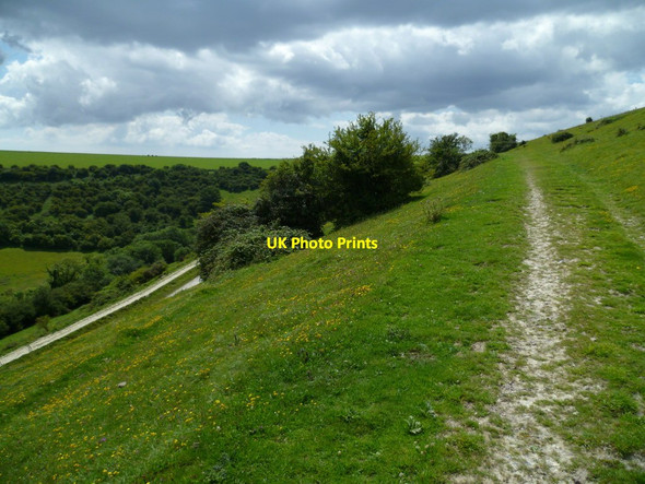Photo 6"x4" Two bridleways on Sullington Hill Sullington c2011