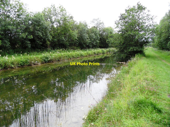 Photo 6"x4" Grand Canal near Edenderry, Co. Offaly Edenderry c2011