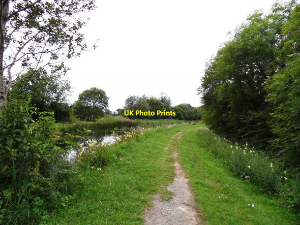 Photo 6"x4" Grand Canal in Rathmore near Edenderry, Co. Offaly Edenderry c2011