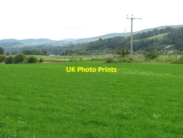 Photo 6"x4" Grass field, Dalmarnock Dalguise c2011