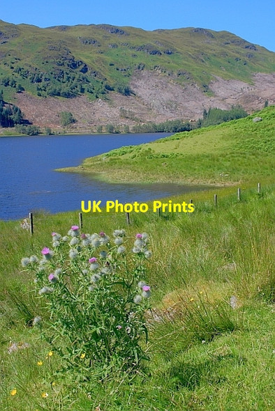 Photo 6"x4" Glen Finglas Reservoir Brig o' Turk c2011