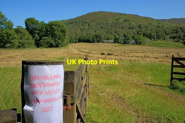 Photo 6"x4" Newly Mown Hay Field, Brig o' Turk Brig o' Turk c2011