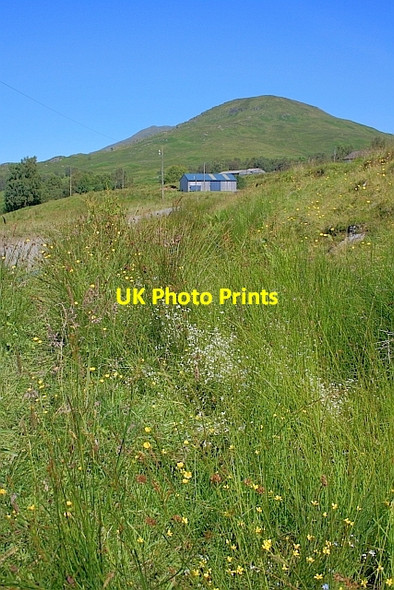Photo 6"x4" Farm Building, Gleann Casaig Brig o' Turk c2011