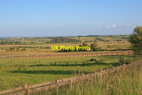 Photo 6"x4" Field near Canada Glantlees c2011