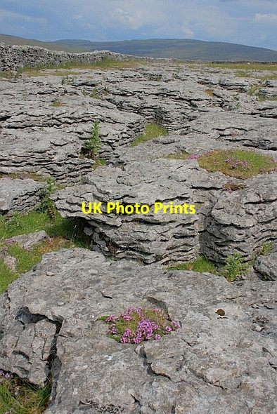 Photo 6"x4" Limestone Outcrops, Fell Close Rocks Ribble Head\/SD7779 c2011 P1