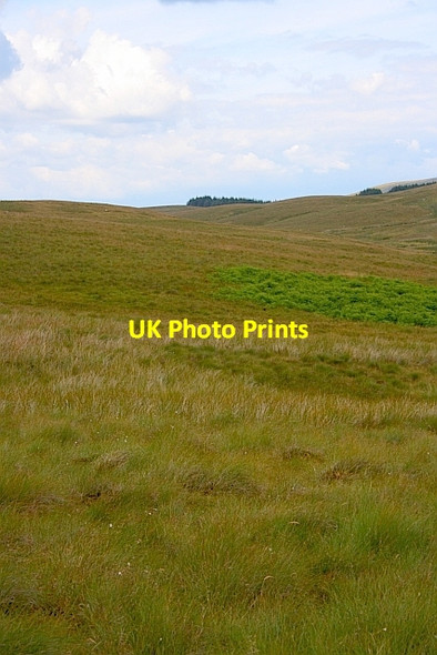Photo 6"x4" Slack Hill Ribble Head\/SD7779 c2011