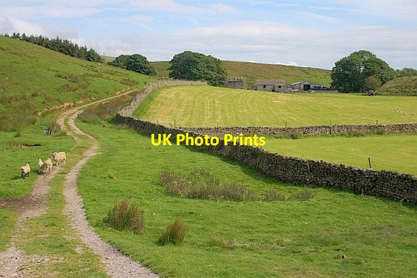 Photo 6"x4" Low Birkwith Selside\/SD7875 c2011