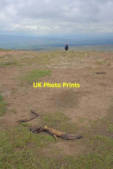 Photo 6"x4" Litter on Pen-y-Ghent Brackenbottom c2011