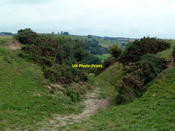 Photo 6"x4" Hollow way footpath Hartington c2011
