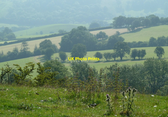 Photo 6"x4" Fields near Bwlch-mawr Carmel\/SO0566 c2011