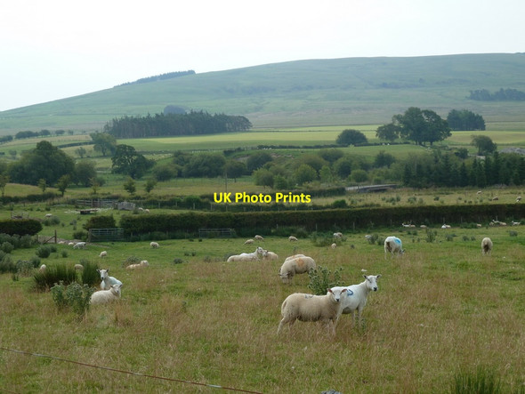 Photo 6"x4" Fields in the upper Marteg valley Bwlch-y-sarnau c2011