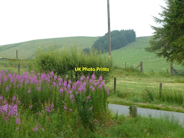 Photo 6"x4" Across the lane to Bwlch-y-sarnau Bwlch-y-sarnau c2011