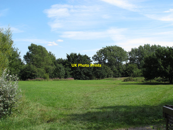 Photo 6"x4" South Norwood Country Park Beckenham c2011
