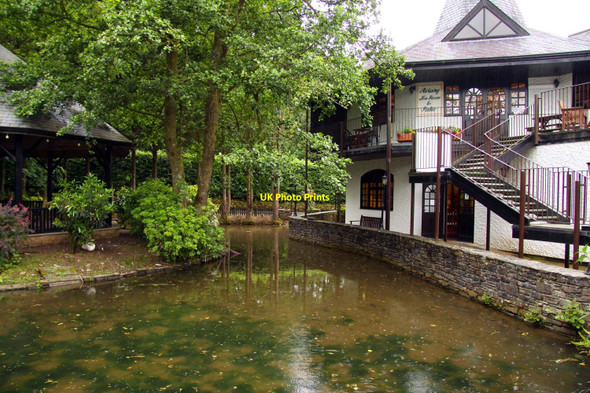 Photo 6"x4" The Aviary Tea Rooms at Trago Mills Middle Taphouse c2011