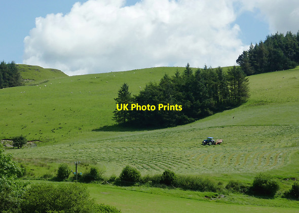Photo 6"x4" Hay making near Ysbyty Cynfyn, Ceredigion Ysbyty Cynfyn c2011