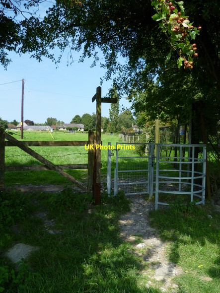 Photo 6"x4" Looking north on footpath in Bury Bury\/TQ0113 c2011