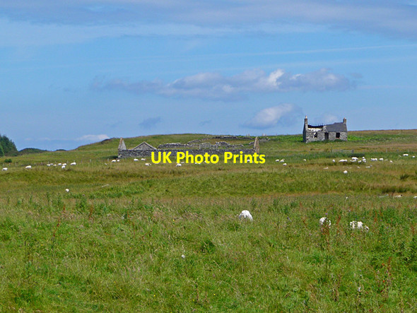 Photo 6"x4" Ruins at Buaile Mhic lante Ballygrant c2011