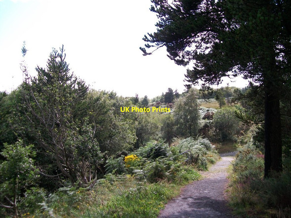 Photo 6"x4" Access path from the Nature Trail to the Car Park at Silent Valley Attical c2011