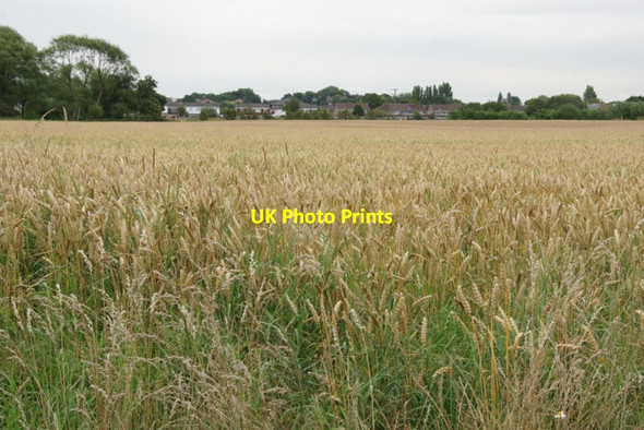 Photo 6"x4" Green Lane, Maghull Maghull c2011