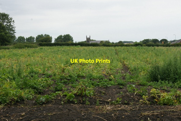 Photo 6"x4" Fields at Lydiate Hall Farm Downholland Cross c2011