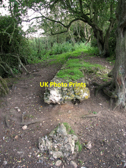 Photo 6"x4" St Benet's Abbey - the old perimeter wall Thurne c2011