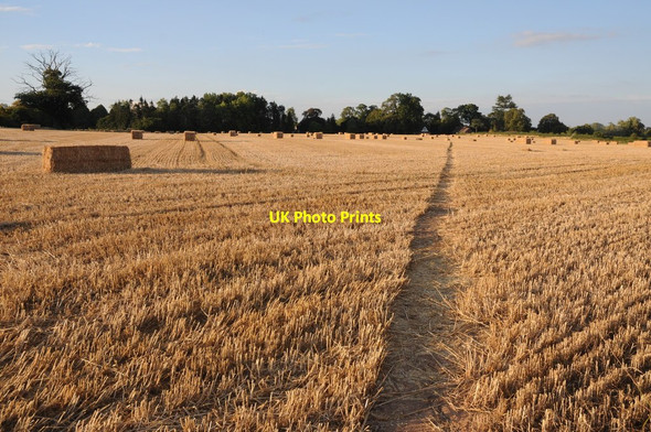 Photo 6"x4" Footpath to Earl's Croome Holly Green\/SO8641 c2011