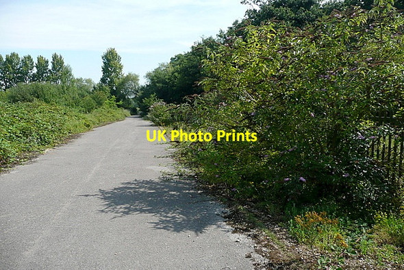Photo 6"x4" Roadway on Loddon nature reserve Twyford\/SU7975 c2011