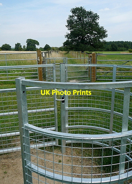 Photo 6"x4" Kissing gates in profusion Twyford\/SU7975 c2011