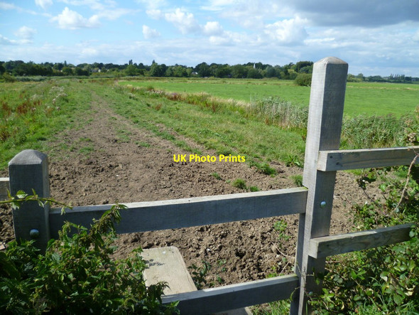 Photo 6"x4" Path by the Arun near Bury Bury\/TQ0113 c2011