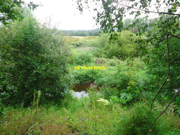 Photo 6"x4" Allan Water Bridge of Allan c2011