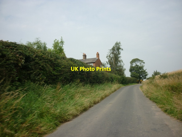 Photo 6"x4" Grafton Lane at Glebelands Farm Grafton\/SE4163 c2011