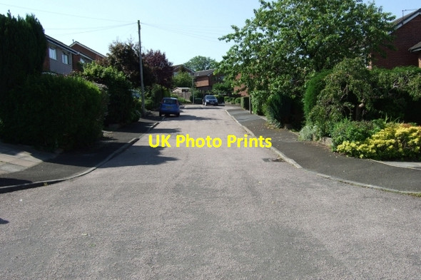 Photo 6"x4" Stock Grove Milnrow c2011