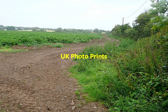 Photo 6"x4" Arable land at Gitchell Lane Cockwells c2011