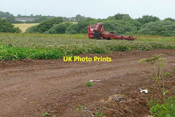 Photo 6"x4" Arable land off Gitchell Lane Cockwells c2011