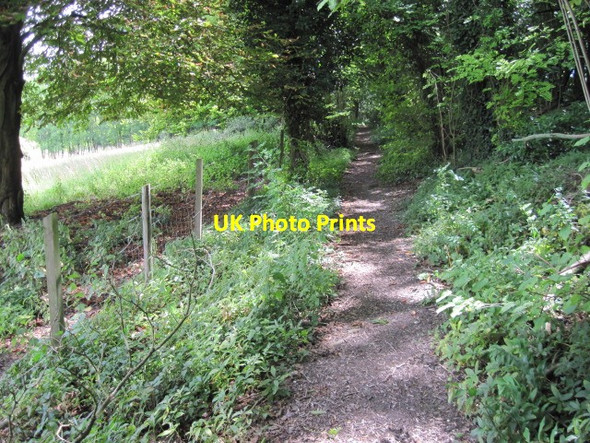 Photo 6"x4" Footpath from Twyford to Hensting Lane Twyford\/SU4824 c2011