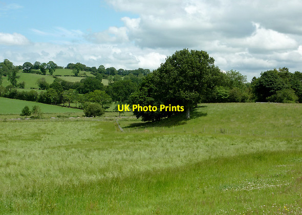 Photo 6"x4" Farmland west of Llanddewi-Brefi, Ceredigion Cockshead c2011
