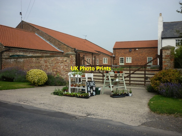 Photo 6"x4" Moor House Farm on Moor Lane Arkendale\/SE3860 c2011