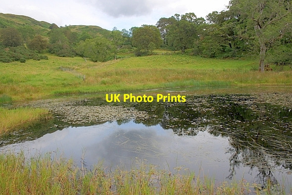 Photo 6"x4" Lochan on the Allt Dail a' Mhuilinn Inveresragan c2011