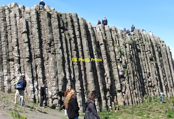 Photo 6"x4" Pillars on the landward side of the Grand Causeway Portballintrae c2011