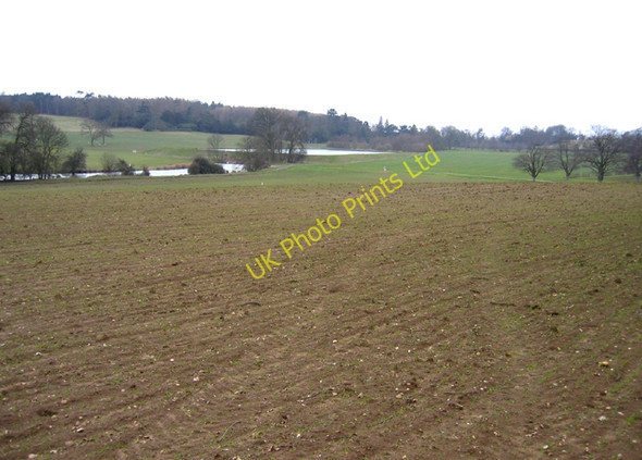 Photo 6"x4" Stonehill Field, Old Warden, Beds Ickwell c2004