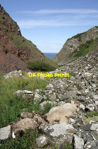 Photo 6"x4" Dowlaw Dean Fast Castle c2011