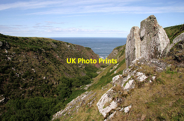 Photo 6"x4" Dowlaw Dean Fast Castle c2011 P1