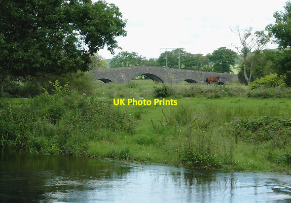 Photo 6"x4" Pasture by the Afon Teifi south of Pont Gogoyan, Ceredigion Cockshead c2011