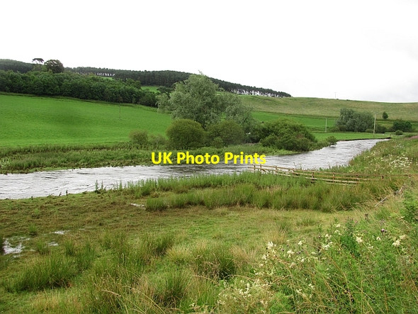 Photo 6"x4" Lyne Water Hallyne c2011