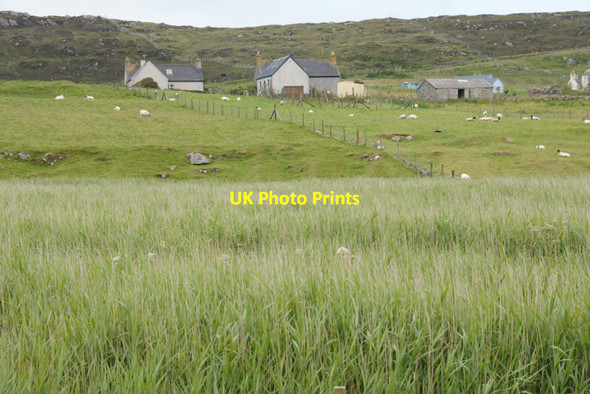 Photo 6"x4" Marsh at Taobh Tuath Taobh Tuath c2011