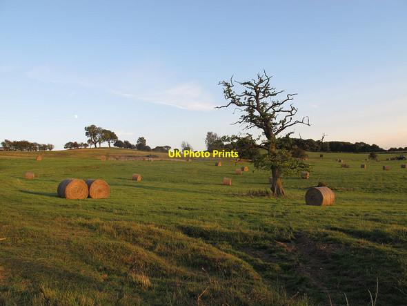 Photo 6"x4" Abbey Farm - hay bales awaiting collection Loddington\/SK7802 c2011
